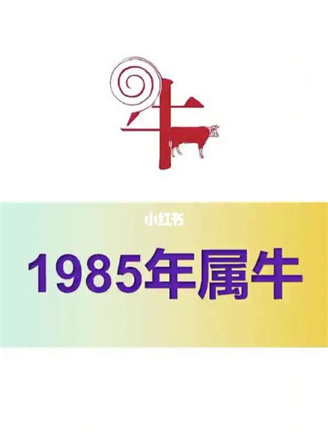 85年是什么牛